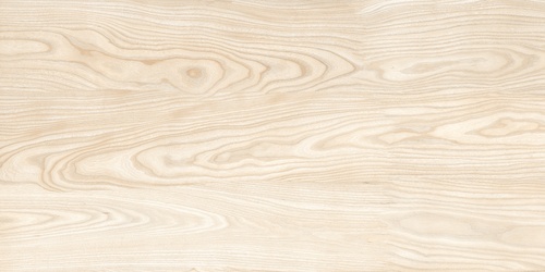 SILKEN WOOD 600х1200мм