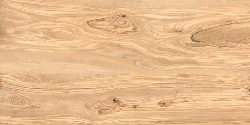 ALPINE NATURAL WOOD 600х1200мм